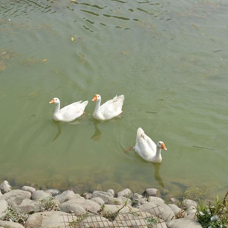 Karna Lake Tourist Resort Karnal Exterior photo