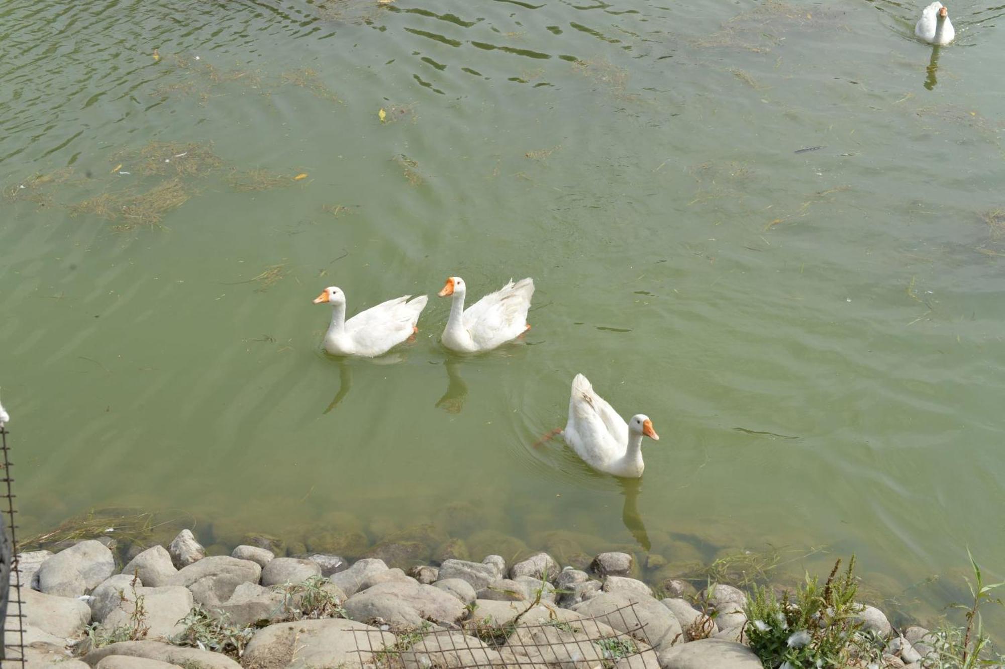 Karna Lake Tourist Resort Karnal Exterior photo